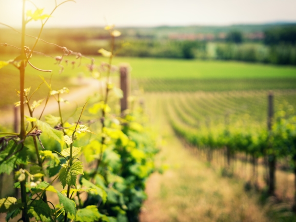 Photo by Ales Me on Unsplash